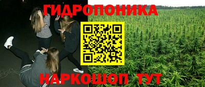 ECSTASY Ижевск