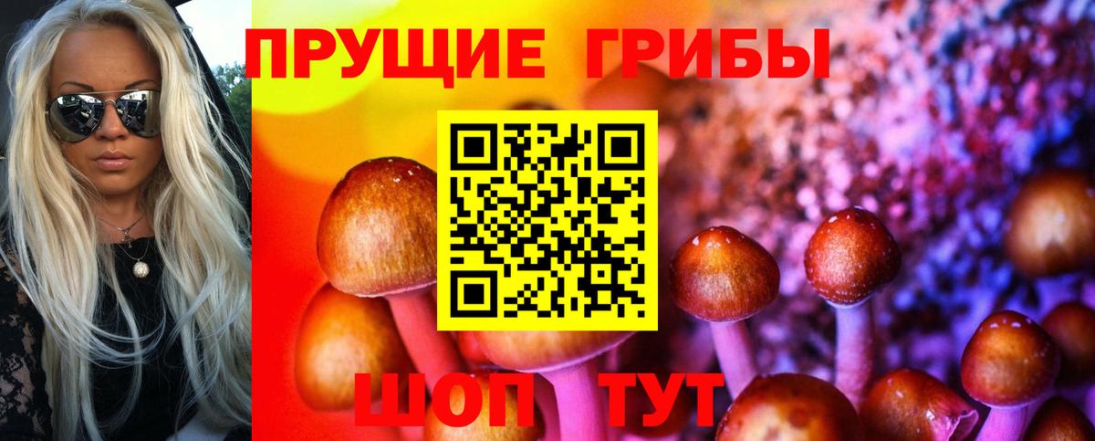 Галлюциногенные грибы прущие грибы  Псилоцибиновые грибы мицелий  Вход с VPN  Горячий Ключ 
