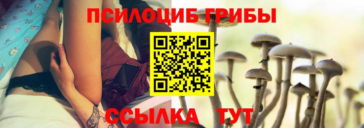 Галлюциногенные грибы мицелий Горячий Ключ
